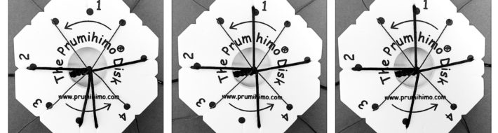 Prumihimo disks in action