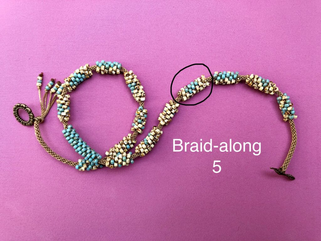 Braidalong5