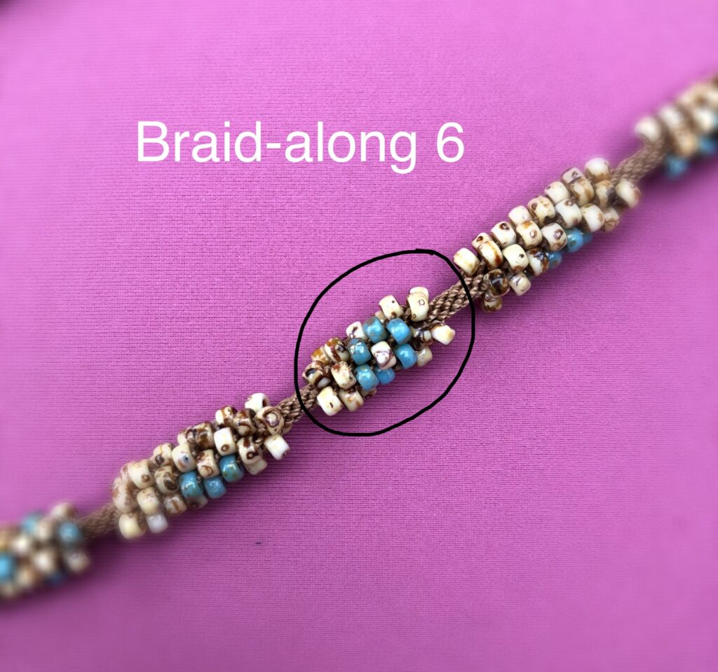 Braidalong6