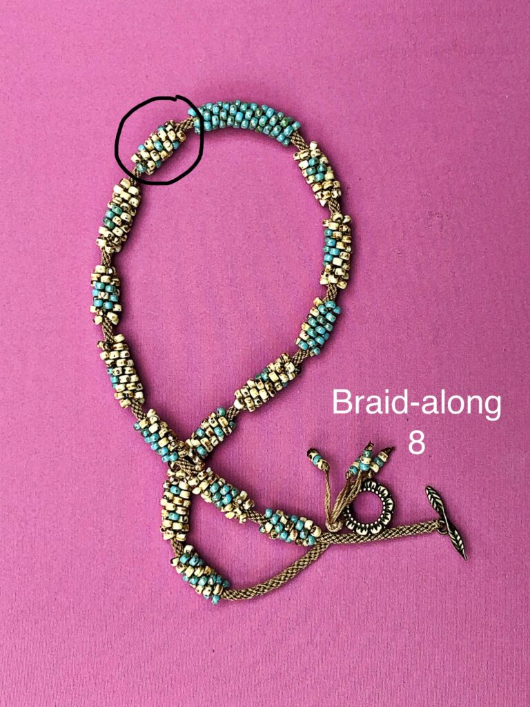 Braidalong8