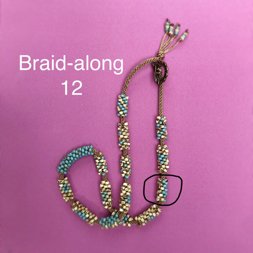 Braidalong12